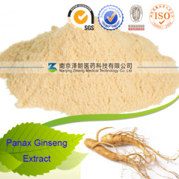 Panax Ginseng Root Powder Extract